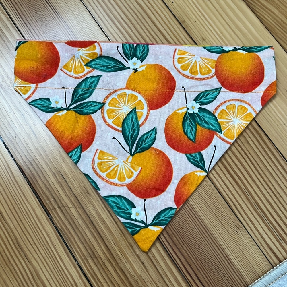 Reversible OTC Dog bandana